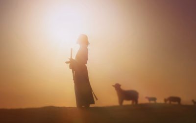 The Invitation to Serve